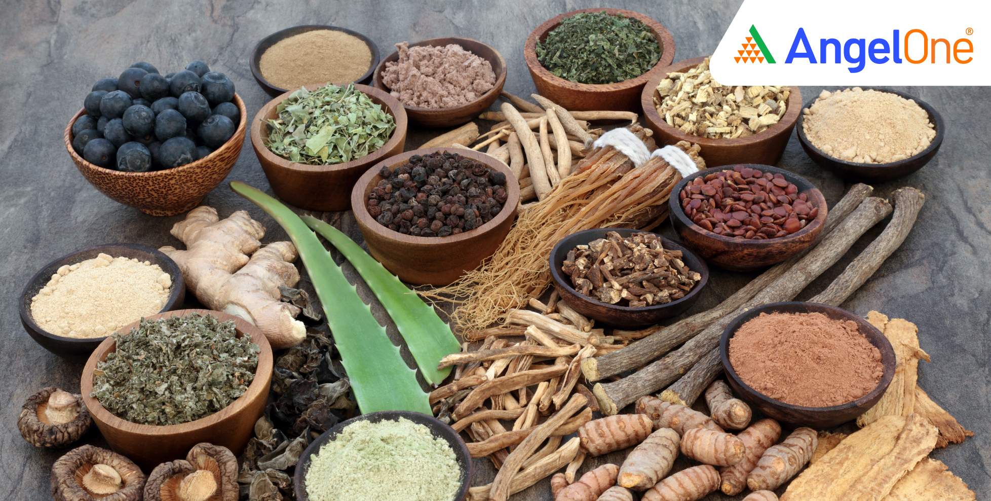 Sat Kartar Shopping Share Price Jumps 2.50% to ₹157.75 on Listing Day